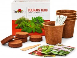 Burpee Culinary Garden Starter Kit 