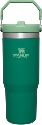  Stanley IceFlow 30oz Stainless Steel Tumbler w/ Straw 