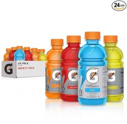 24-Pack of Gatorade Classic Thirst Quencher 