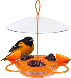 Nature's Way All-in-One Oriole Buffet Bird Feeder w/ Ant Moat, Bee Guards $8.74 at Amazon