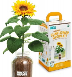 Back to the Roots Sunflower Organic Windowsill Planter Kit 