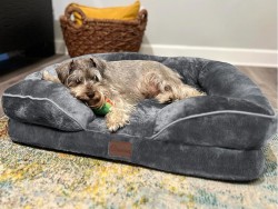 YITAHOME Orthopedic Memory Foam Dog Bed (Medium) $29 at Amazon
